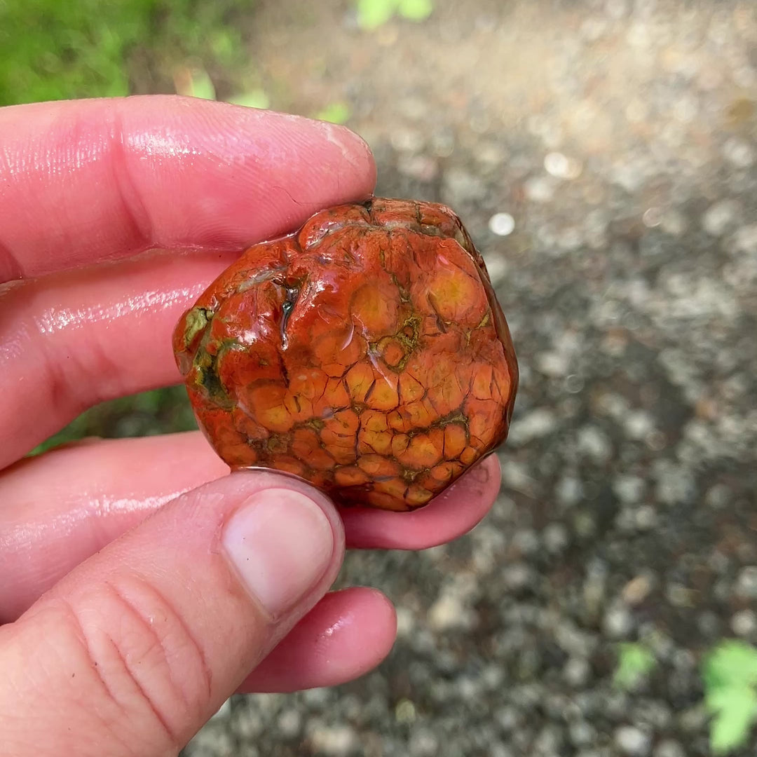 Sterling Silver Orange Poppy Jasper Pendant Necklace