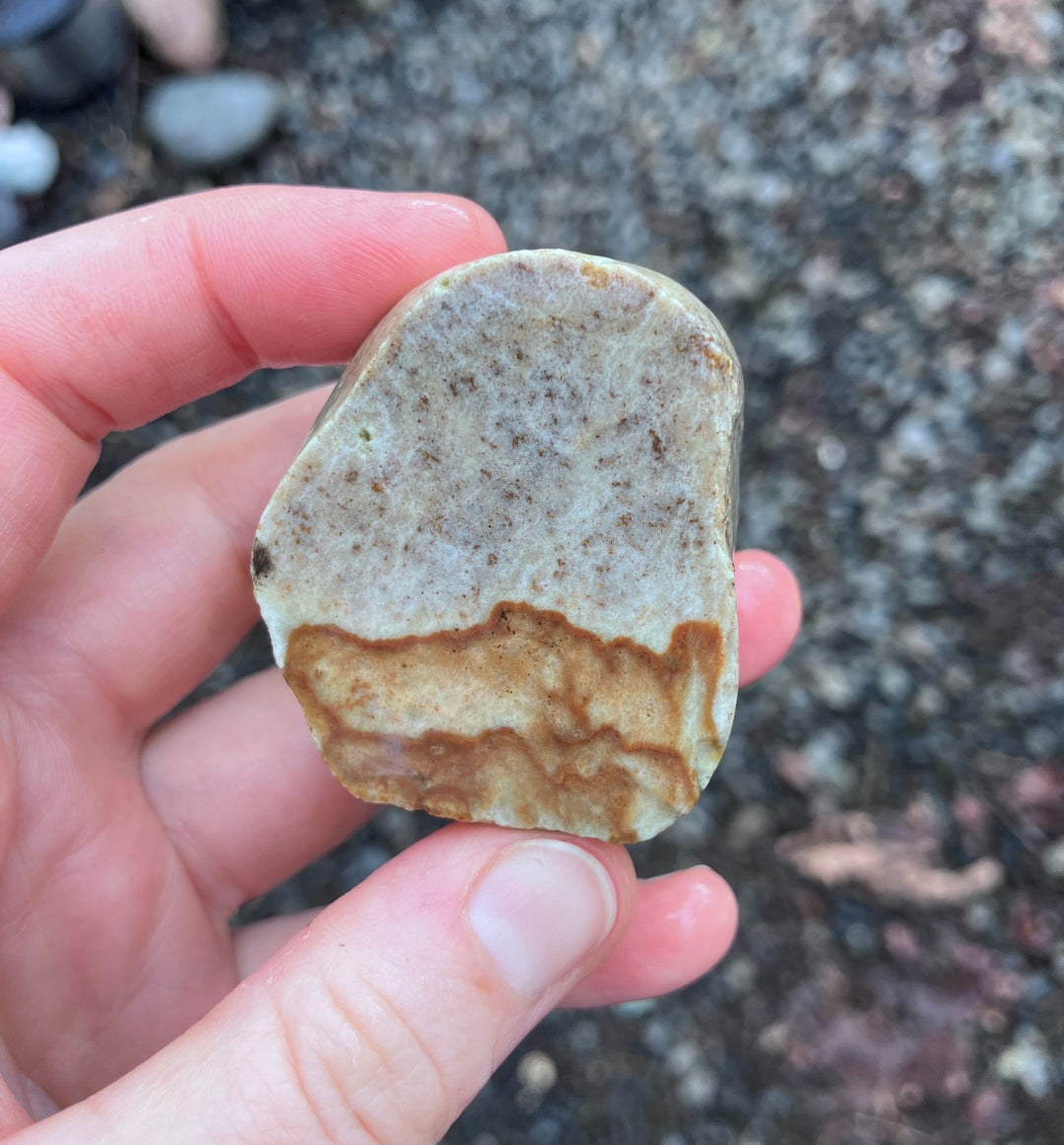 Wire Wrapped Picture Jasper Pendant in Silver (Necklace Sold Separately) - Woodland Metalsmith