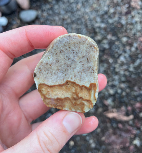 Wire Wrapped Picture Jasper Pendant in Silver (Necklace Sold Separately) - Woodland Metalsmith