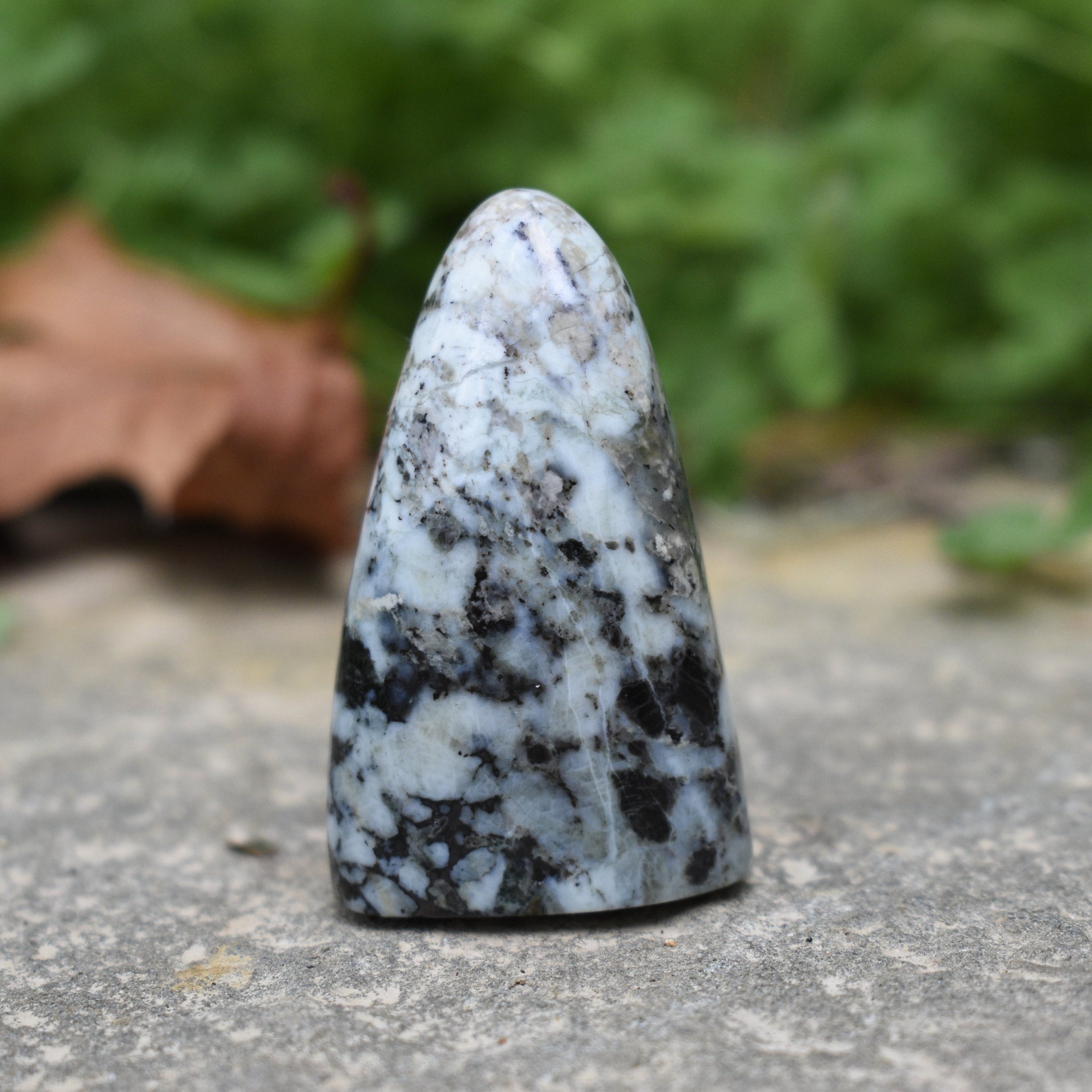 Washington State Cabochons - Woodland Metalsmith