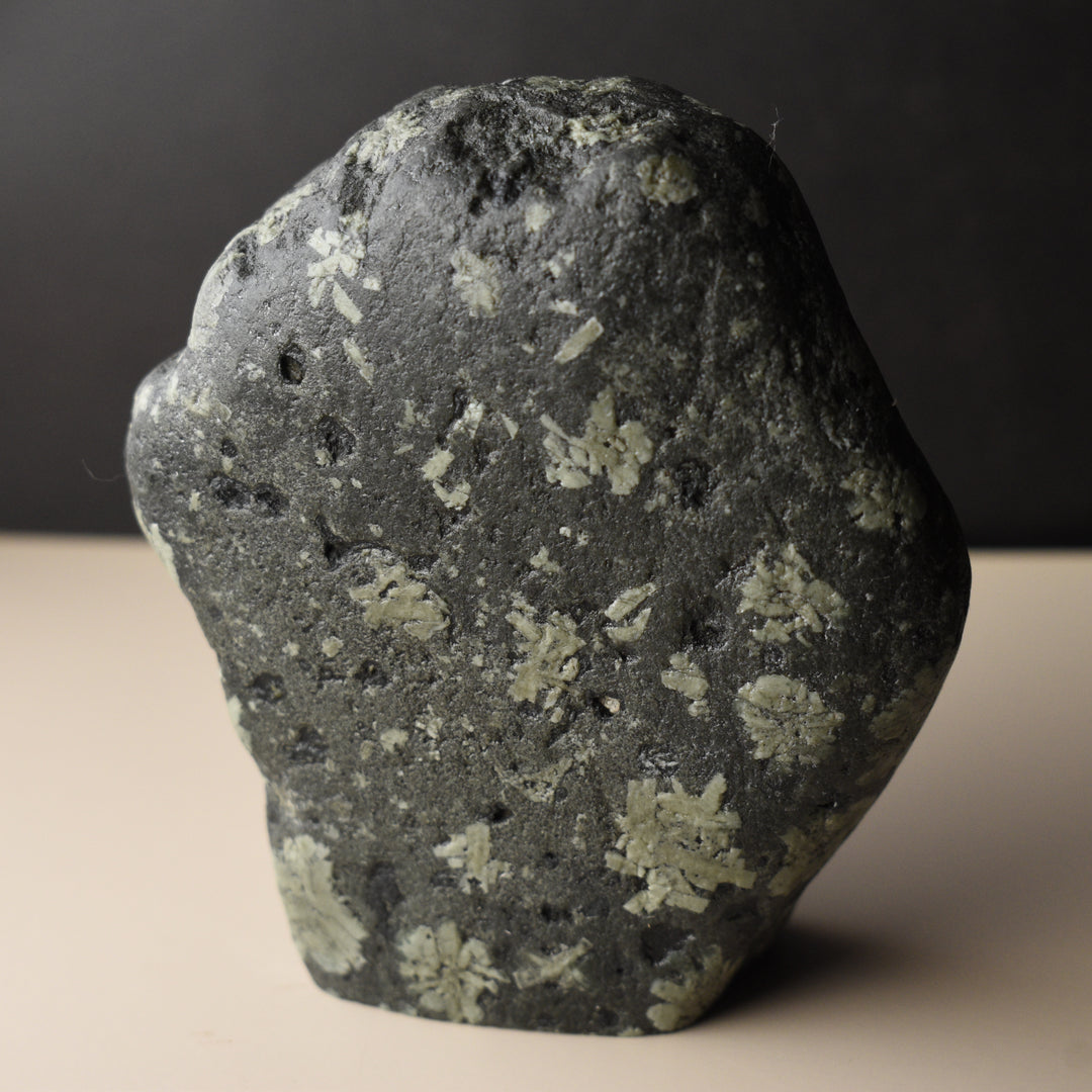 Washington Chrysanthemum Stone Specimen, aka Flowerstone, 4 inches tall