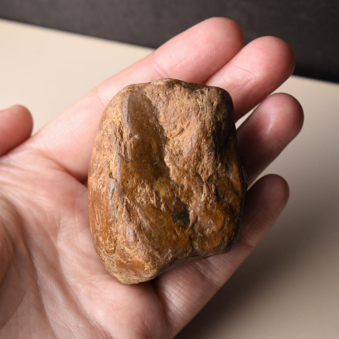 Dark Yellow Jasper Stone, Rough, Lapidary or Collecting, 2 inches Tall