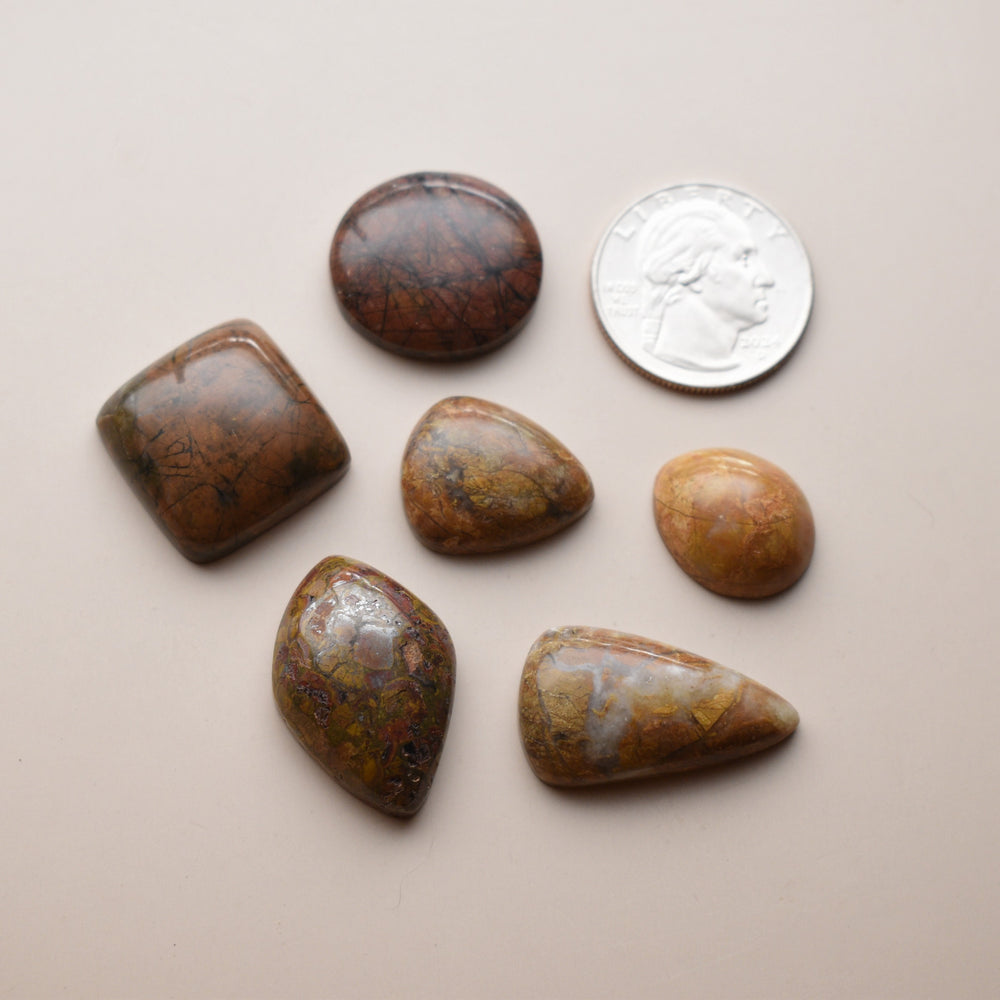 Orange and Yellow Jasper Cabochons Lot