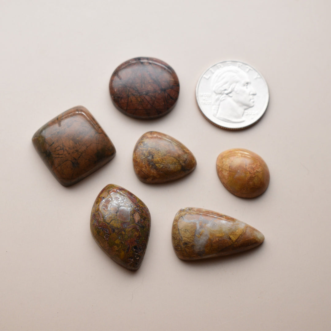 Orange and Yellow Jasper Cabochons Lot