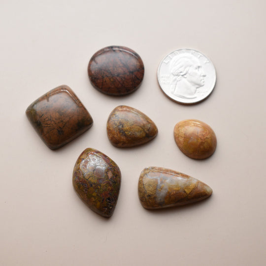 Orange and Yellow Jasper Cabochons Lot