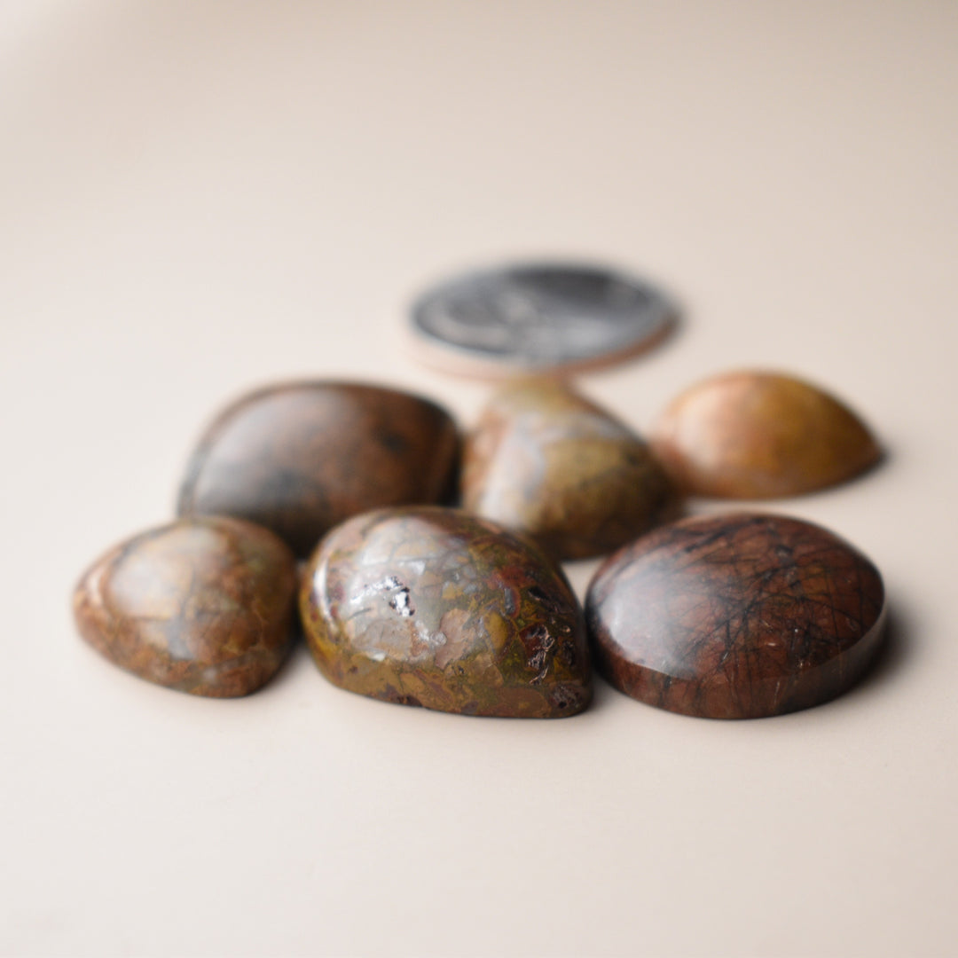 Orange and Yellow Jasper Cabochons Lot