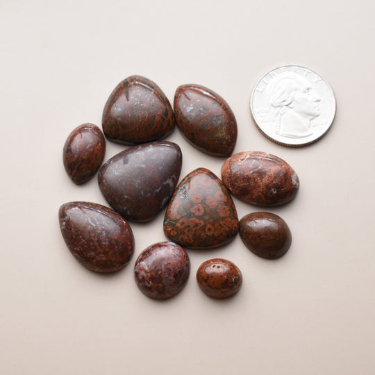 Red Jasper Cabochon Lot