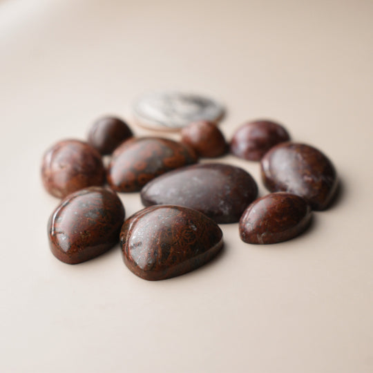Red Jasper Cabochon Lot