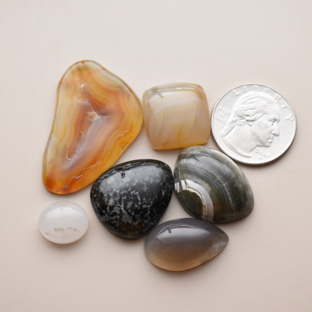 Washington Agate Cabochons Mixed Lot