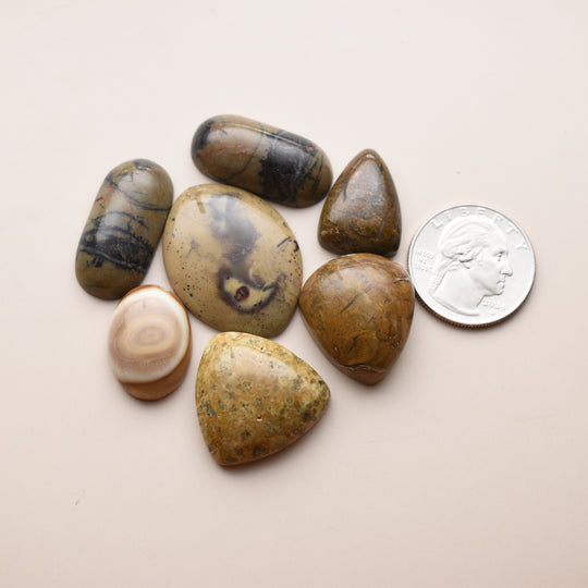 Yellow Stone Cabochons Lot