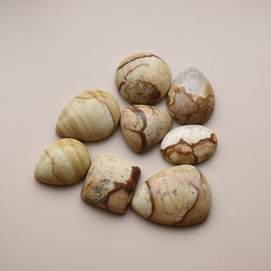 Picture Jasper Cabochons Lot