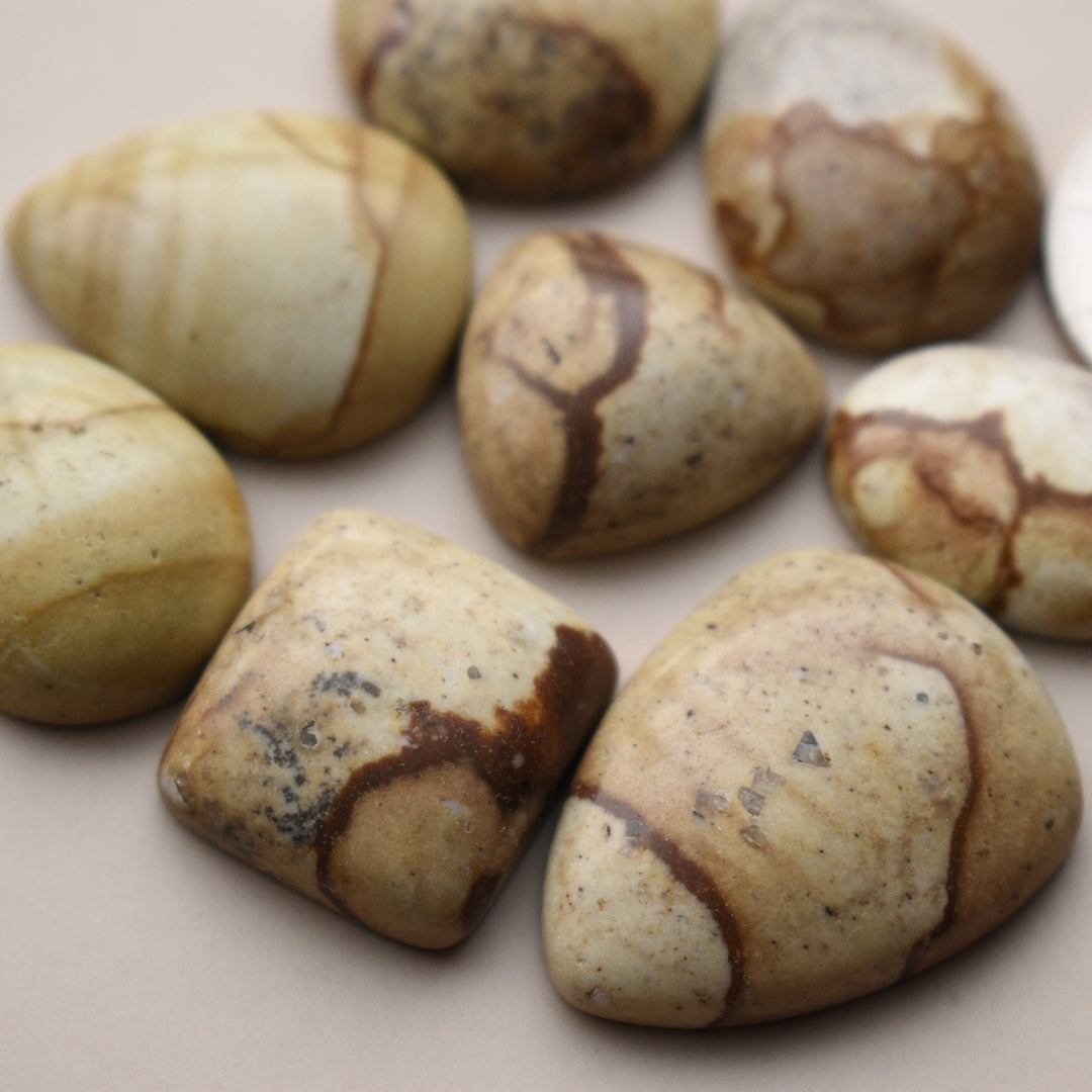 Picture Jasper Cabochons Lot