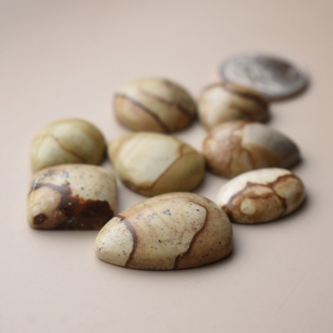 Picture Jasper Cabochons Lot