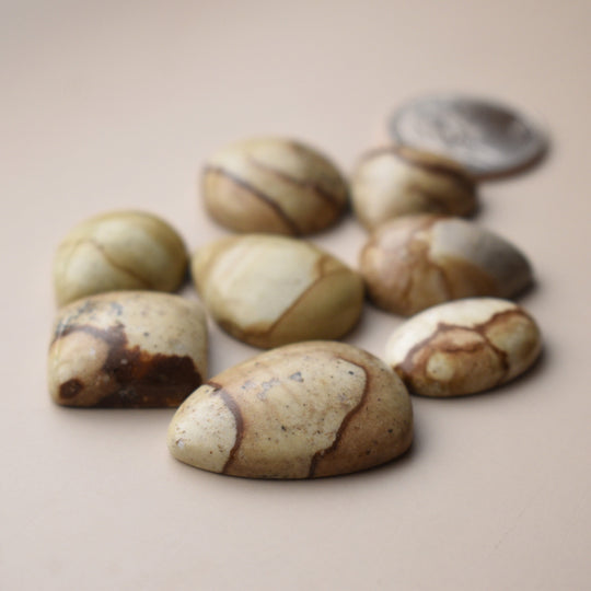 Picture Jasper Cabochons Lot