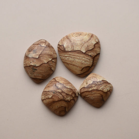 Cascade Mountain Picture Jasper Cabochon Lot