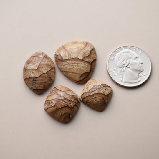 Cascade Mountain Picture Jasper Cabochon Lot