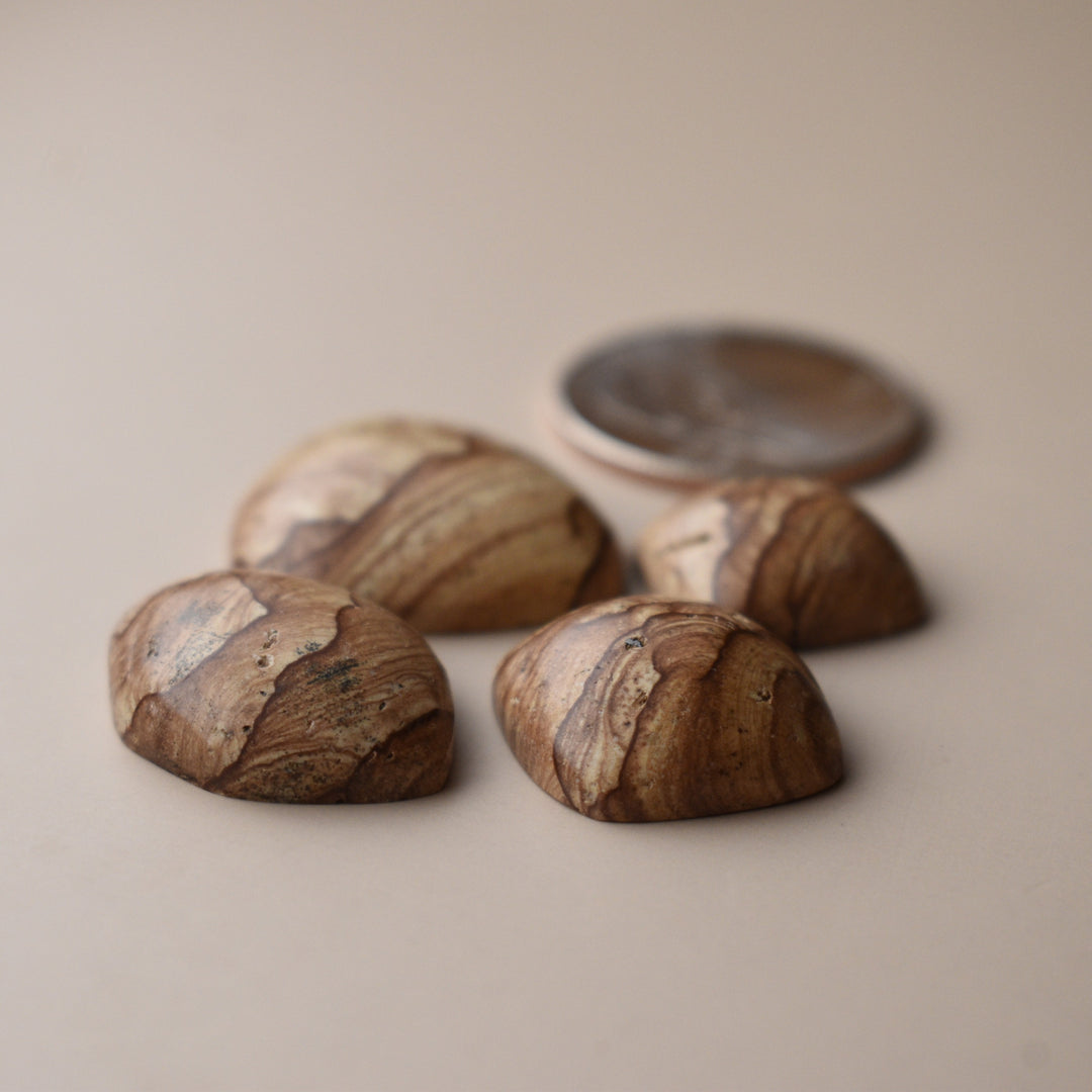 Cascade Mountain Picture Jasper Cabochon Lot