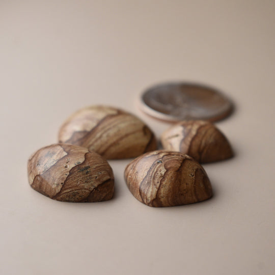Cascade Mountain Picture Jasper Cabochon Lot