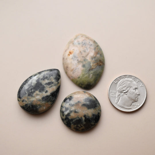 Washington Cabochons Mixed Lot