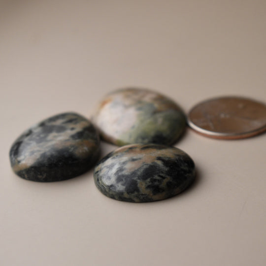 Washington Cabochons Mixed Lot