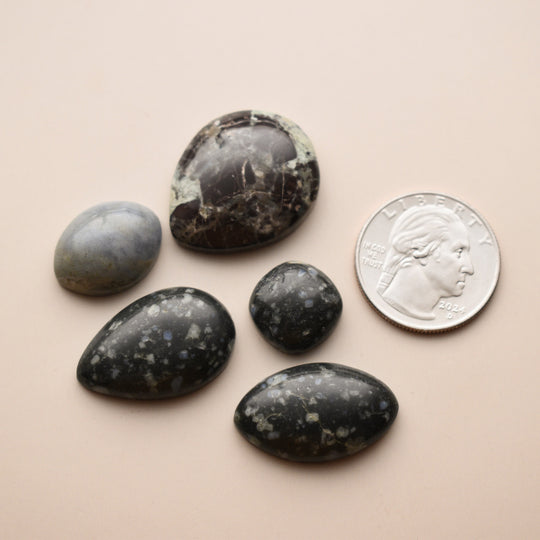 Washington State Cabs Mixed Lot