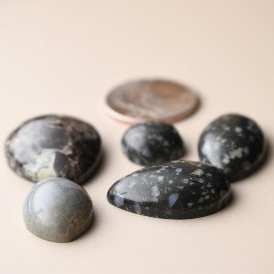 Washington State Cabs Mixed Lot