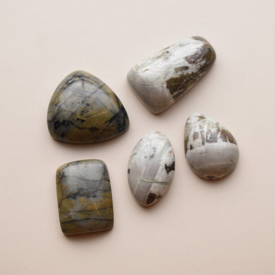 Washington State Cabochon Lot