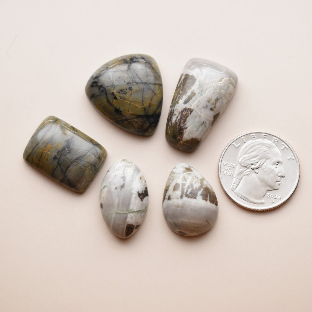 Washington State Cabochon Lot
