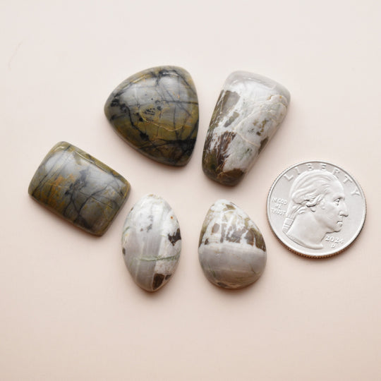 Washington State Cabochon Lot