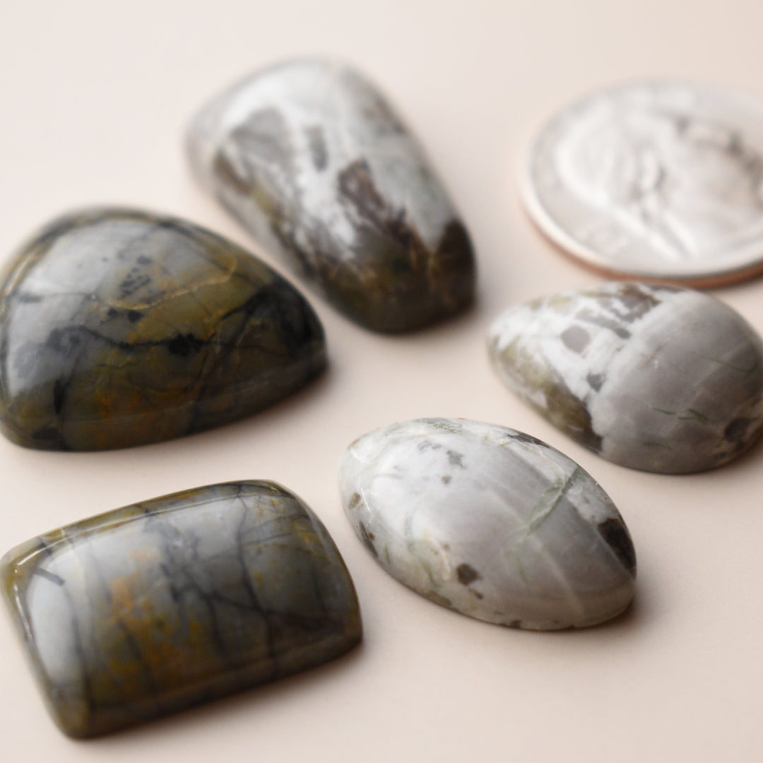 Washington State Cabochon Lot