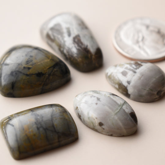 Washington State Cabochon Lot