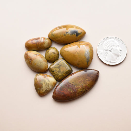 Yellow Jasper Cabochons Lot