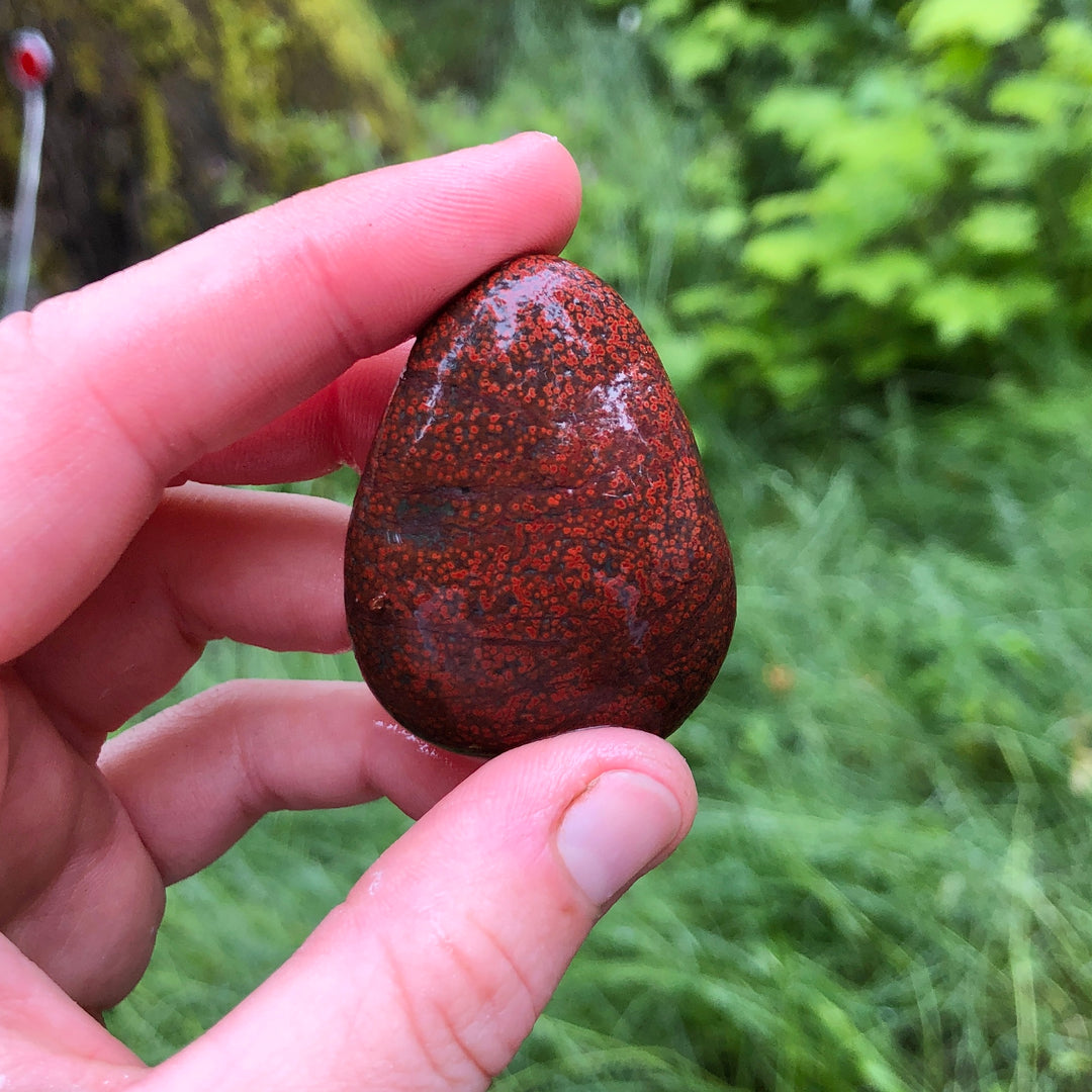 Red Orbicular Jasper Pendant Necklace | Adjustable Cord