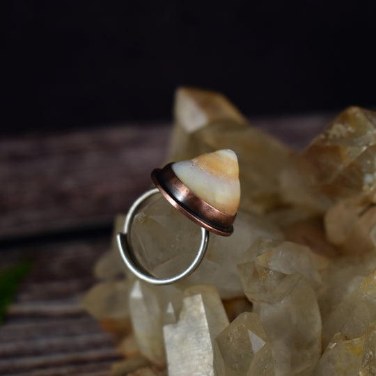 Beach shell ring in mixed metal