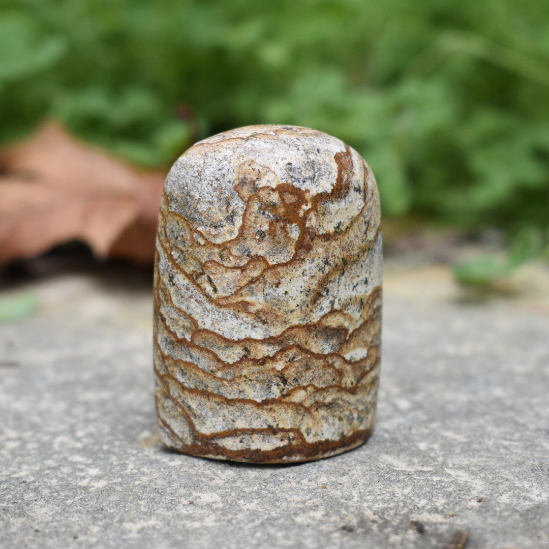 Cascadian Picture Jasper Decor