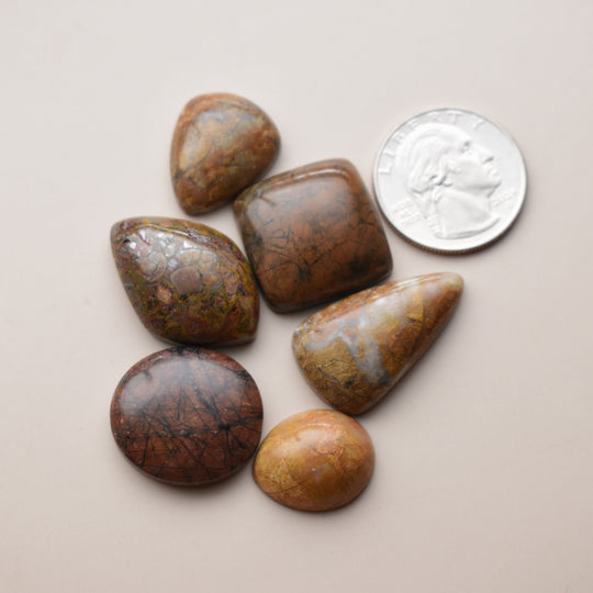 Orange and Yellow Jasper Cabochons Lot