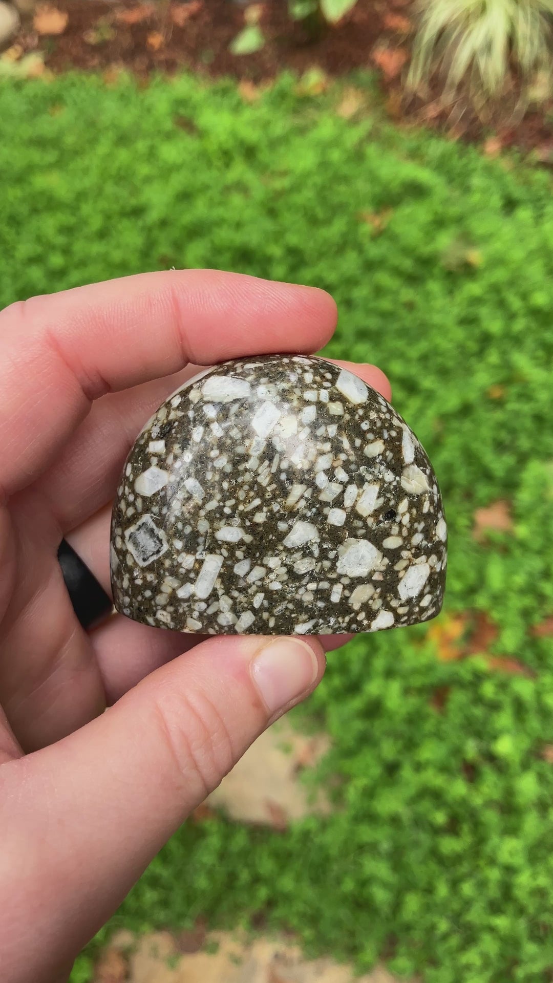 Basalt Porphyry Tabletop Specimen