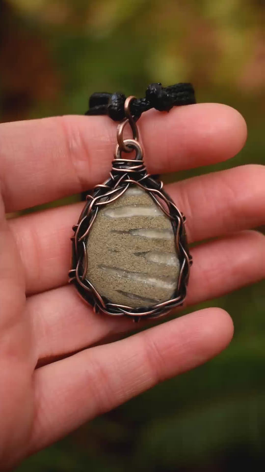 wire wrapped fossilized clam pendant necklace