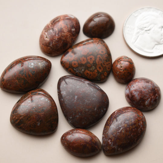 Red Jasper cabochons from Washington State
