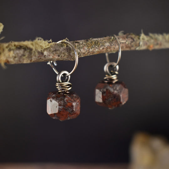 Red Jasper silver earrings