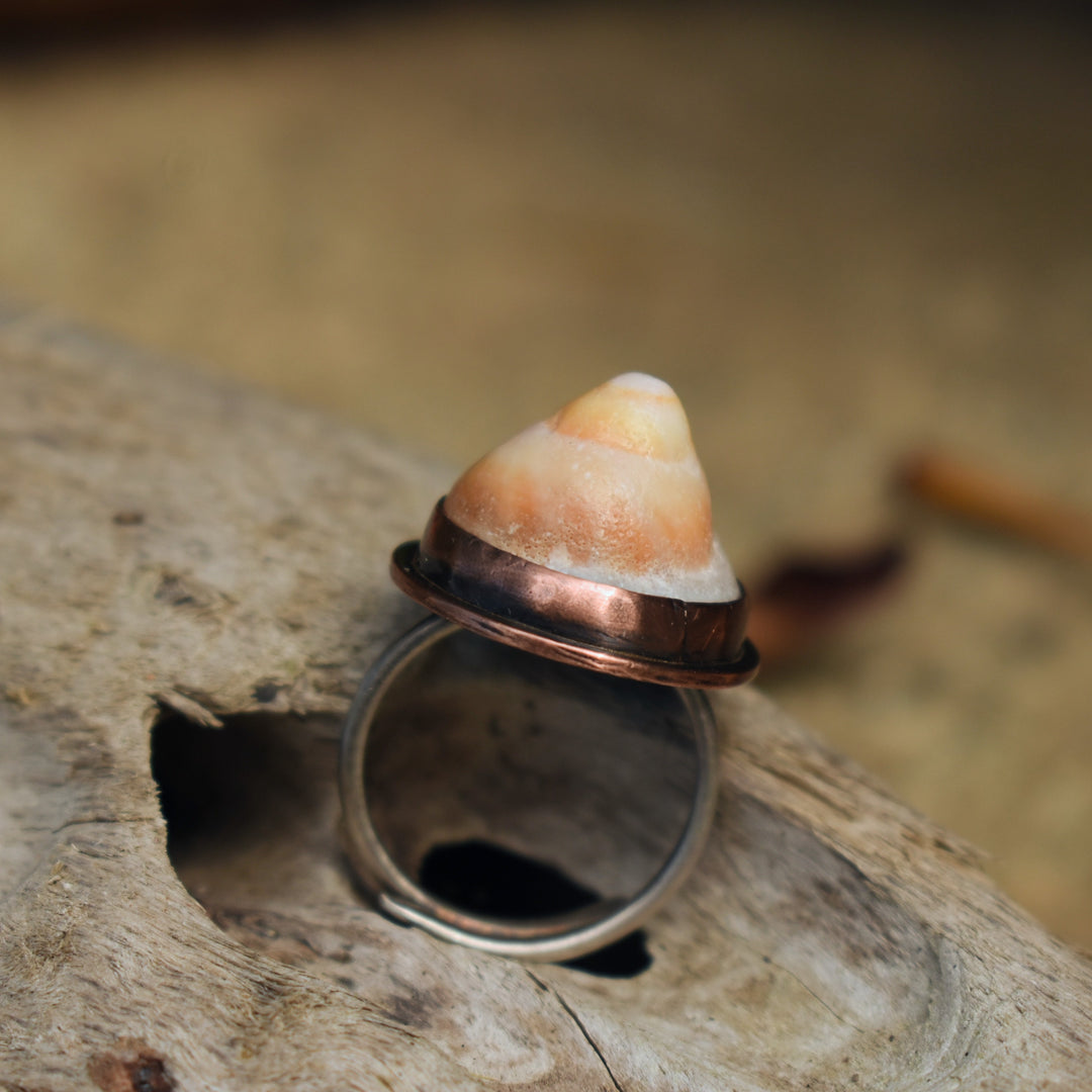 Beach shell ring in copper and sterling silver