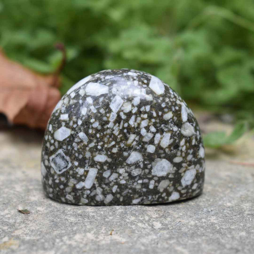 Speckled gray stone on a concrete surface with greenery in the background
