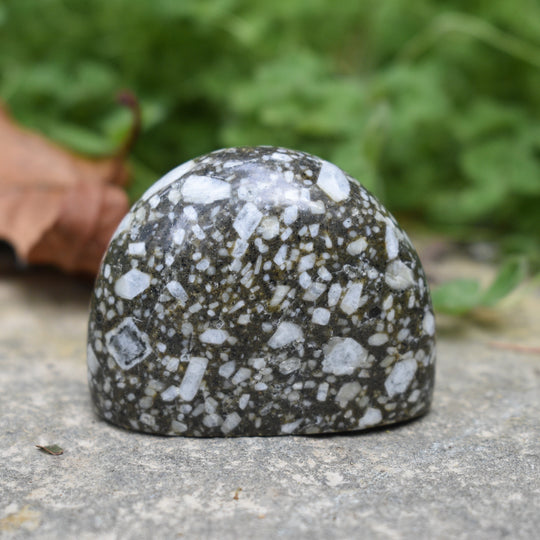 Speckled gray stone on a concrete surface with greenery in the background