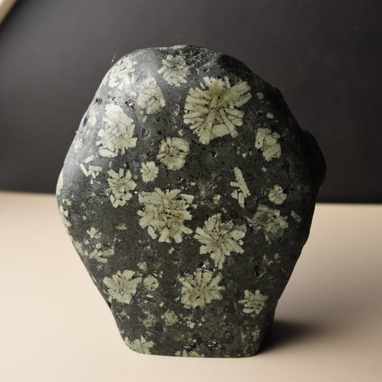 Decorative stone with flower-like patterns on a neutral background