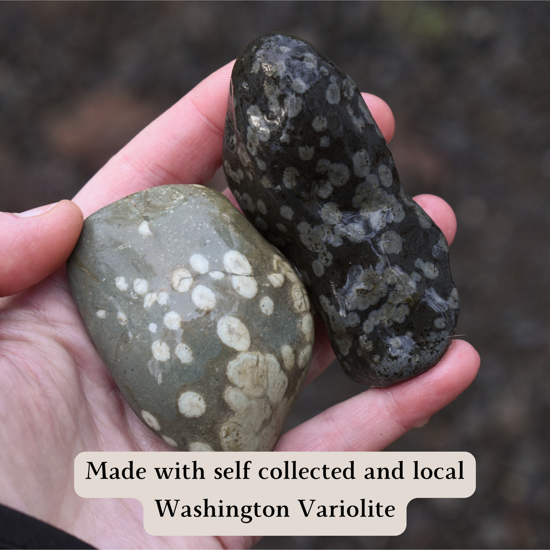 Two variolite stones held in a hand with text indicating self-collected and local Washington Variolite.