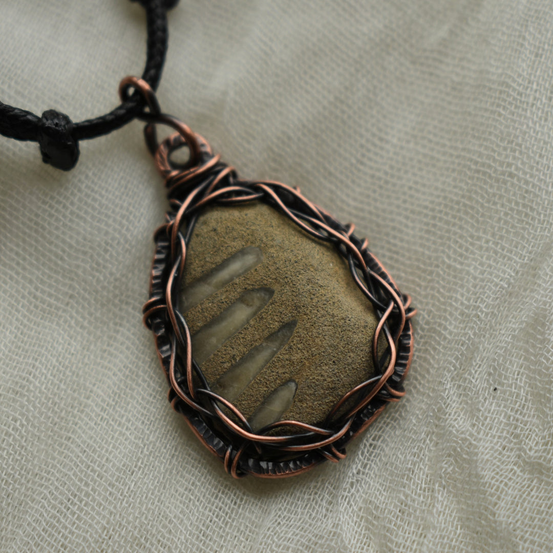 wire wrapped copper necklace made with a clam fossil and copper