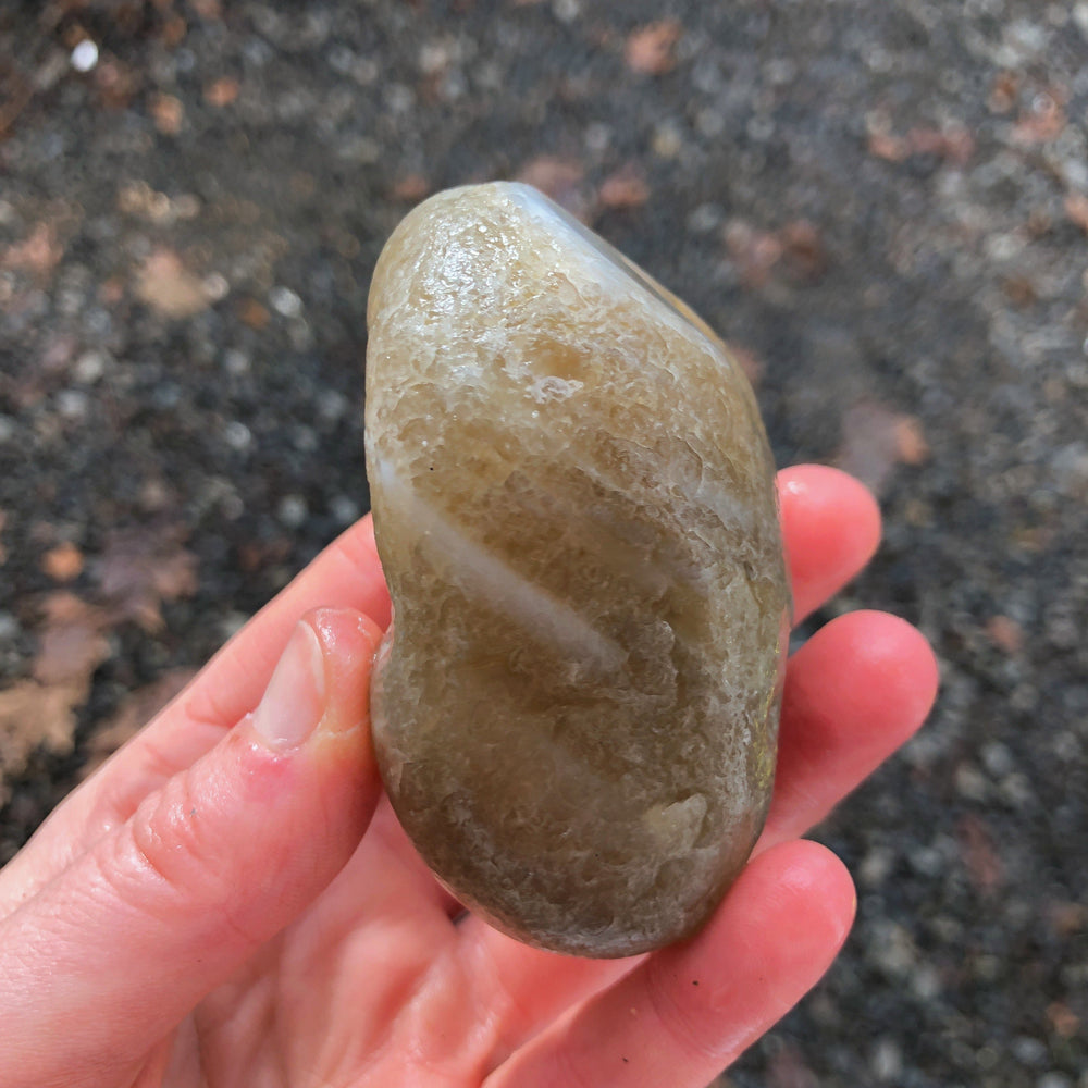 Large Yellow Banded Beach Agate from Washington State