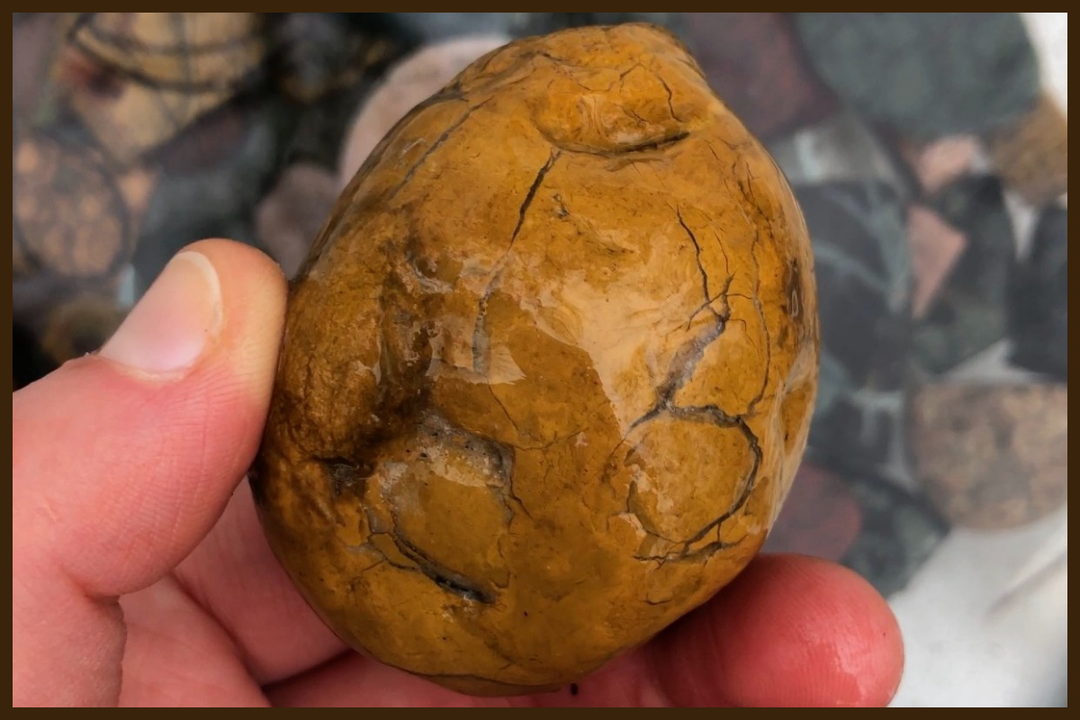 Yellow Jasper beach stone with Agate veins